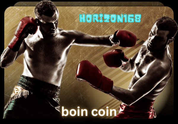 boin coin